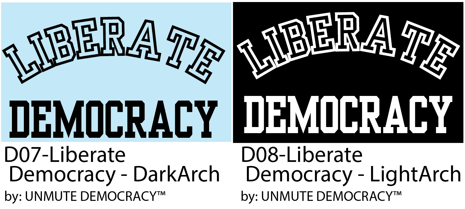 D07 D08 Liberate Democracy