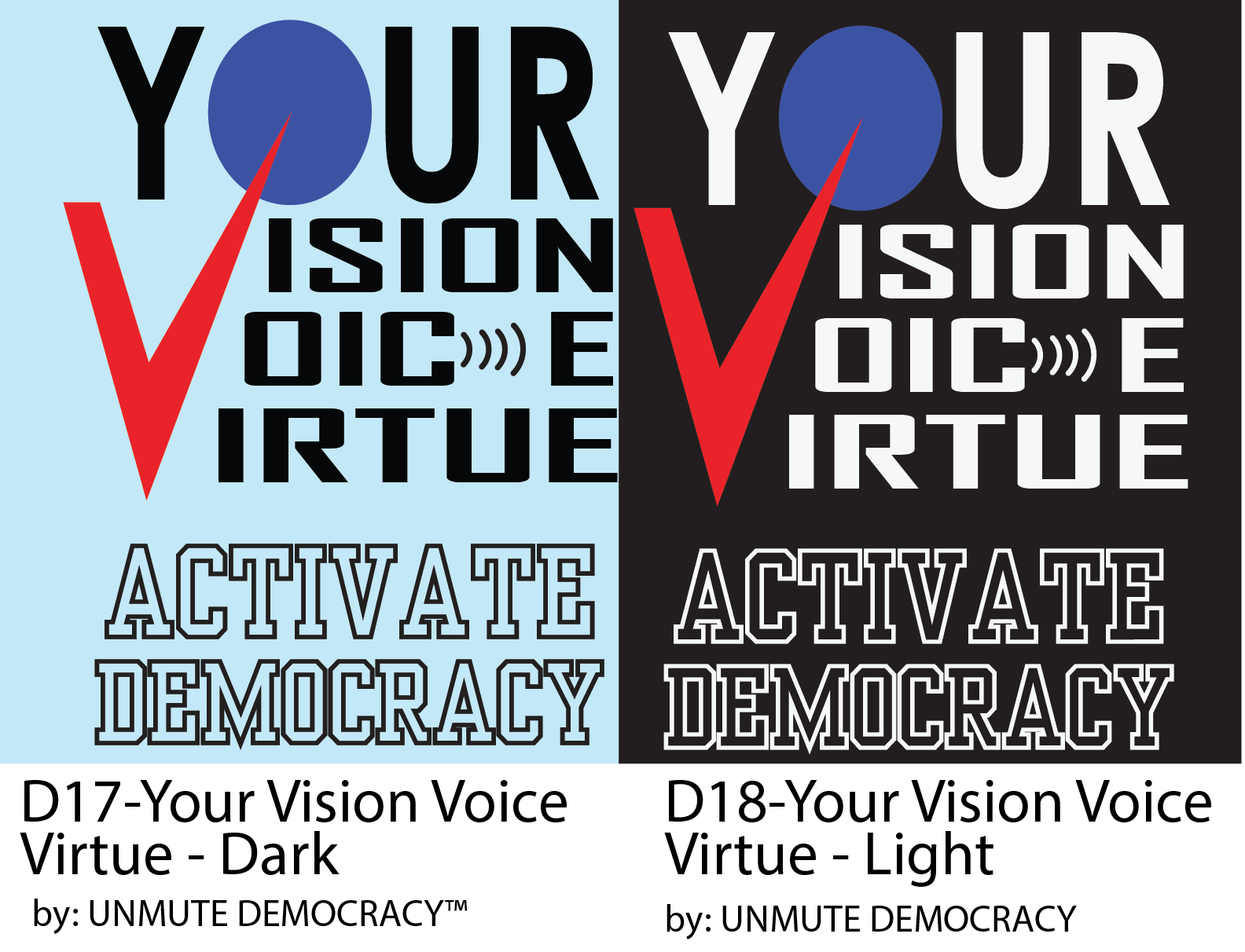 D17 D18 Activate Vision Voice Virtue
